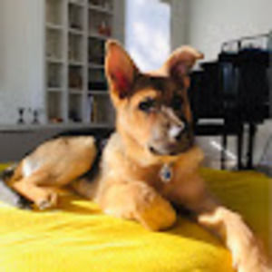 Meet your Posher, Moxie